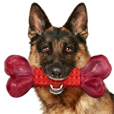 Apasiri Tough Dog Toys for Aggressive Chewers – Beef Flavored, Long-Lasting (Large, Red)