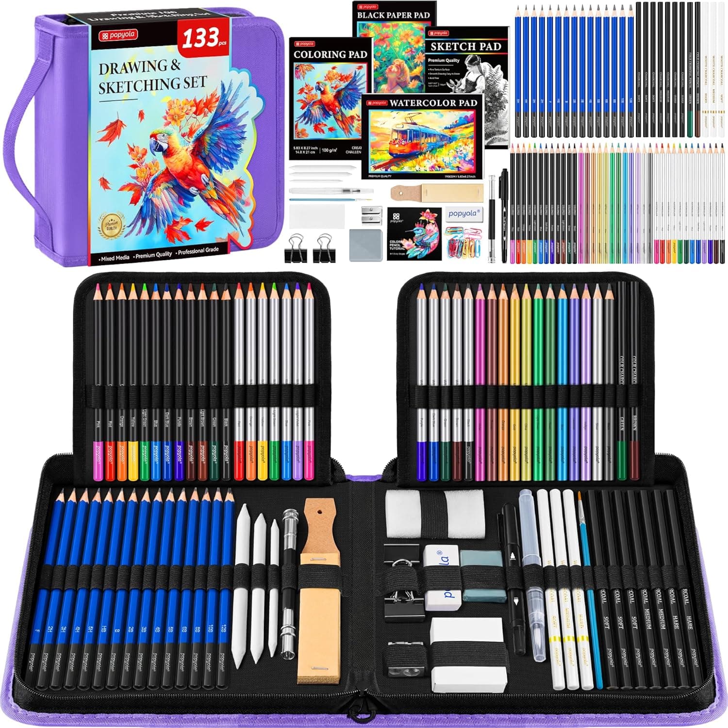 133 Pack Art Supplies Sketching Kit with Sketch Book, Coloring Book, Watercolor Pad, Black Paper Pad, Tutorial, Graphite Colored Charcoal Watercolor & Metallic Pencils for Artists Beginners Adults